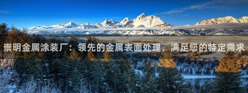 美高梅与陈百强