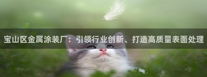 美高梅中国股票2282