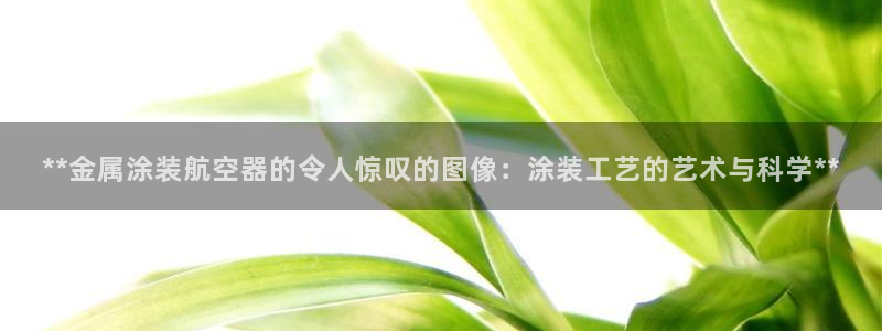 美高梅何超琼多少股份