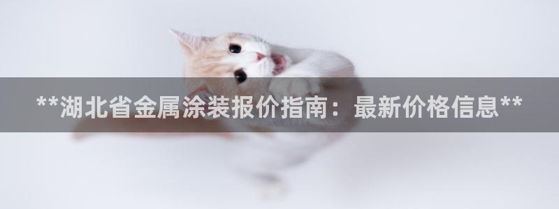 美高梅直营高