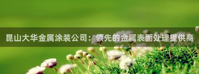 鲁能美高梅别墅容积率