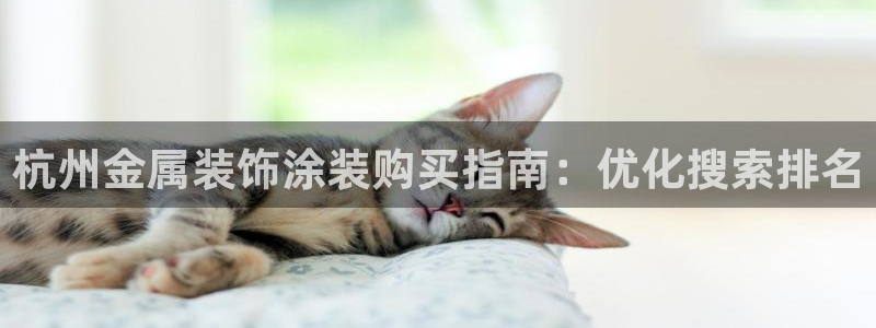 美高梅中国是什么公司
