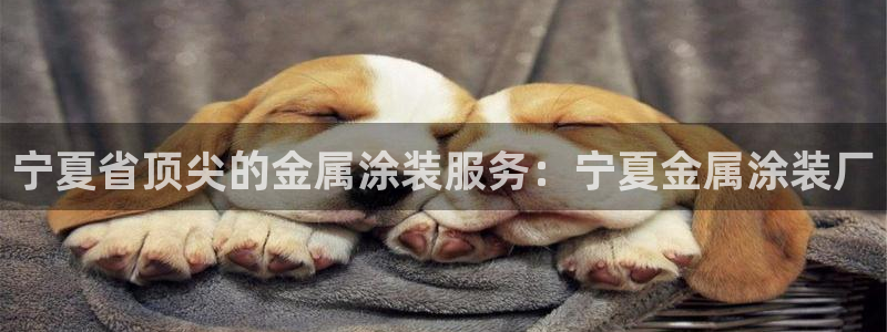 美高梅大厦