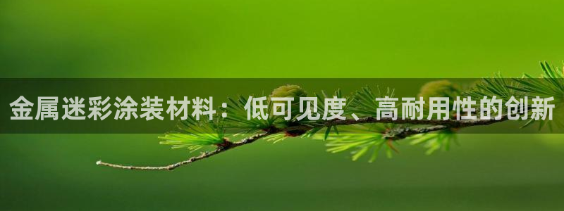美高梅现在由谁在经营