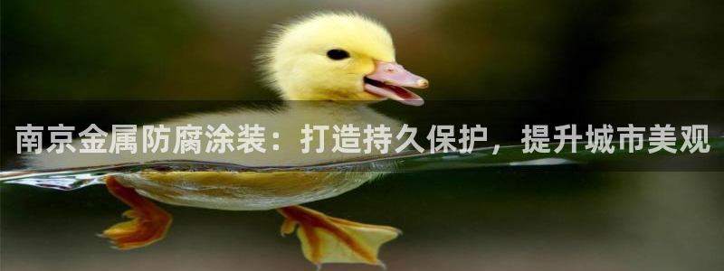 美高梅附近有哪些酒店