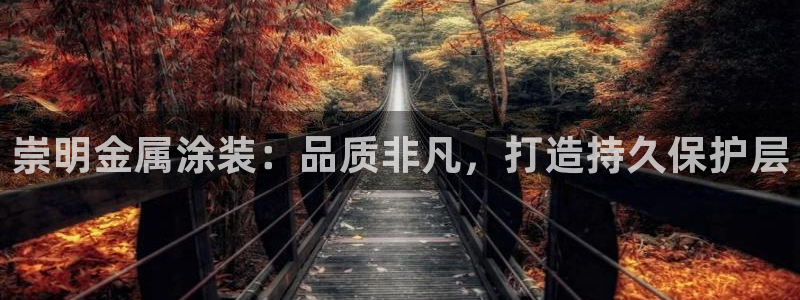 美高梅酒店门口狮子