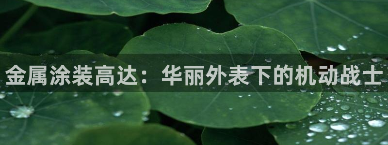 美高梅mgm1888公司官网