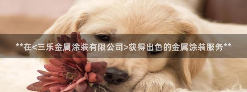美高梅金狮贵宾会宾至如归显