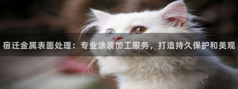 美高梅游戏线上登录