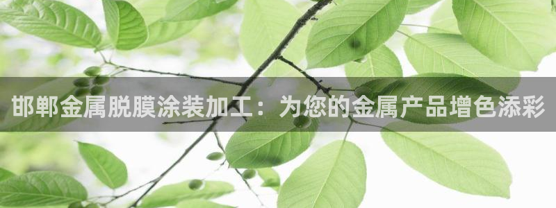 美高梅官网购票能用微信买吗