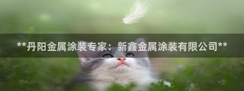 美高梅外套