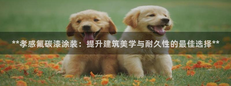 美狮美高梅和美高梅有什么区别