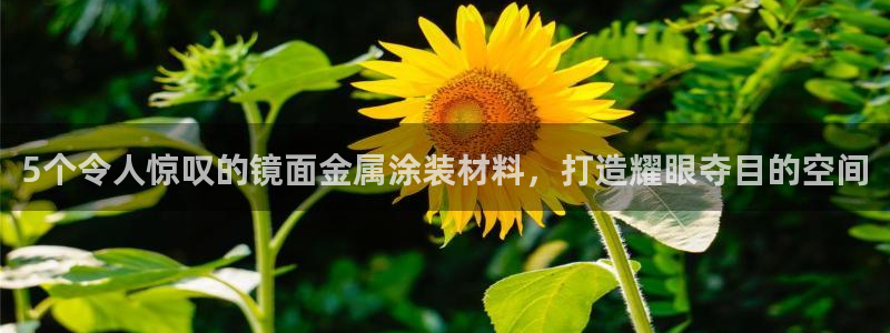 美狮美高梅酒店发财车