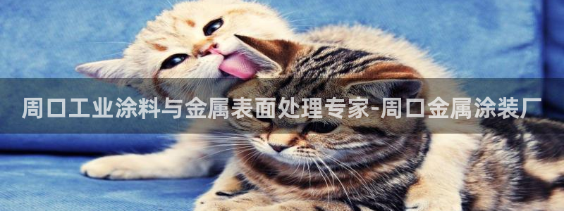 美高梅酒店股东