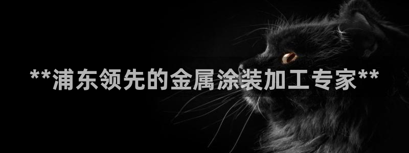 美高梅全国有几家