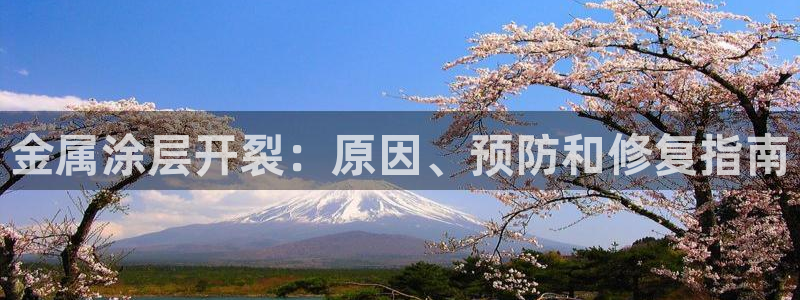 美高梅---国际品牌--值得信赖