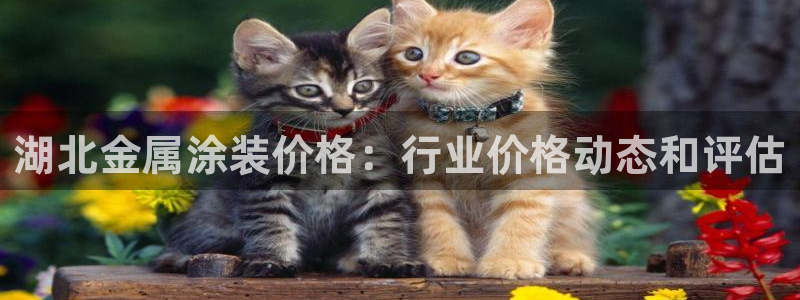 美狮美高梅穿梭巴士时刻表