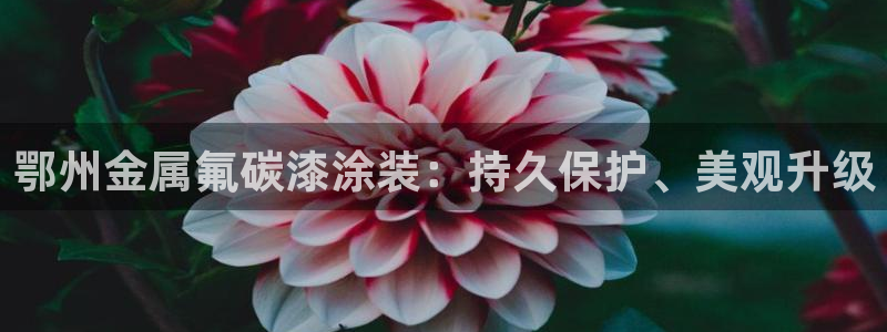美高梅酒店几星级的
