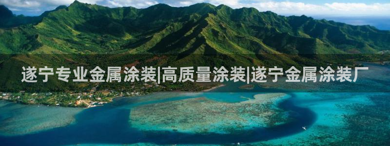 美高梅净利润