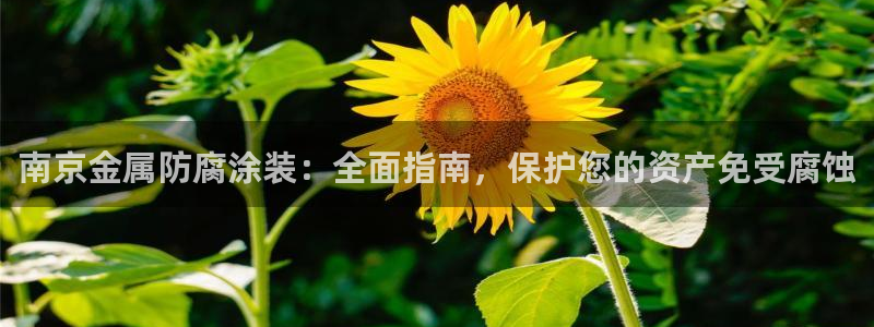 鲁能钓鱼台美高梅公馆售价