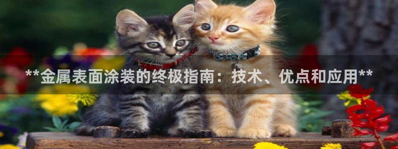 美高梅会员卡免费办吗