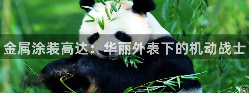 美高梅退房时间