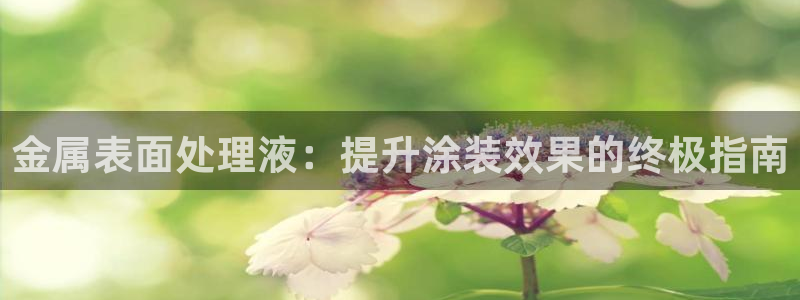 美高梅卡是什么