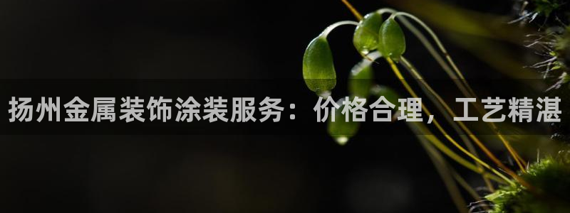 美狮美高梅发财车