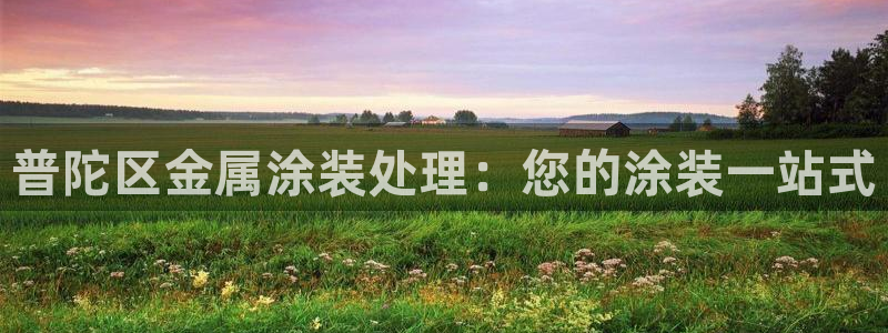 美高梅冯小峰简介