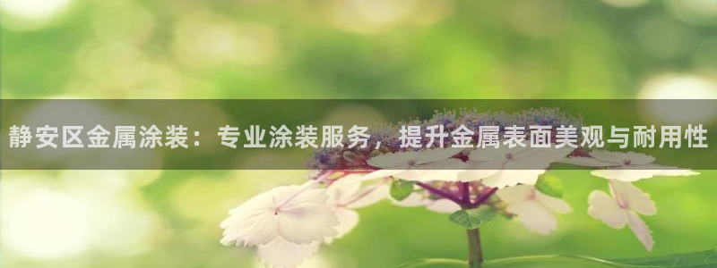 美高梅软件转钱准成吗