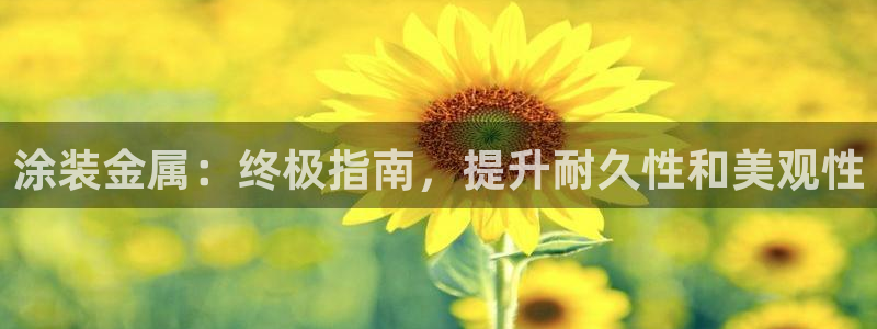 美高梅会员卡等级有什么用