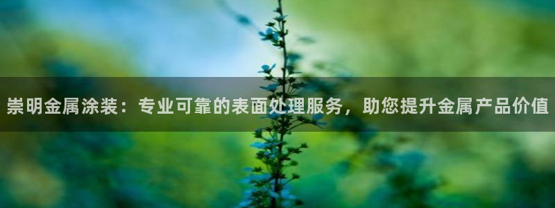 美高梅房价金殿澳门房价