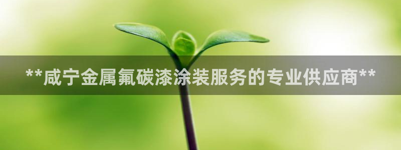 美高梅会员卡图片