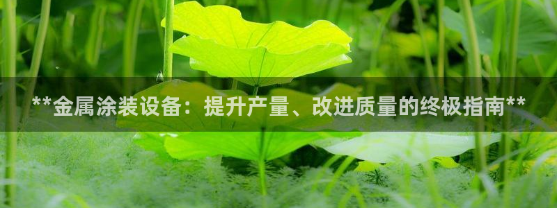 美狮美高梅酒店是老区的吗
