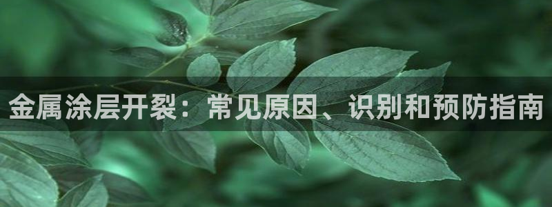 美高梅会员卡