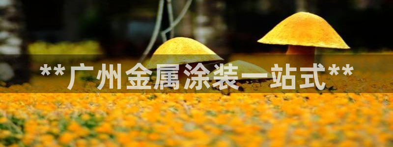 美高梅酒店前台