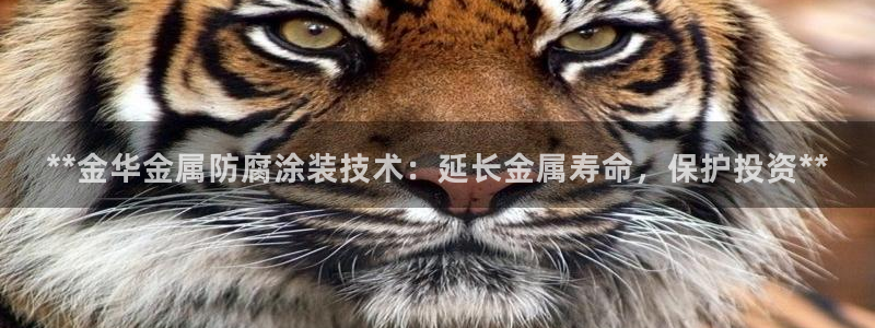 美高梅筹码图片