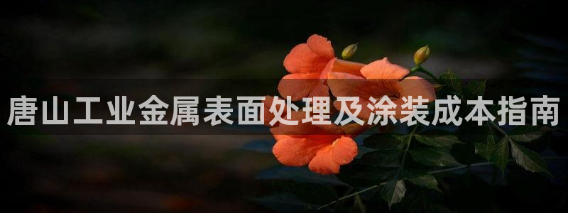 美狮美高梅商场