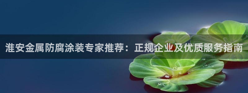 何超琼美高梅持股