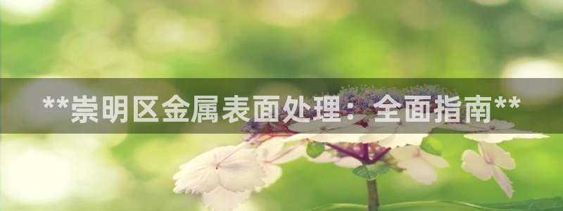 澳门mgm娱乐官网