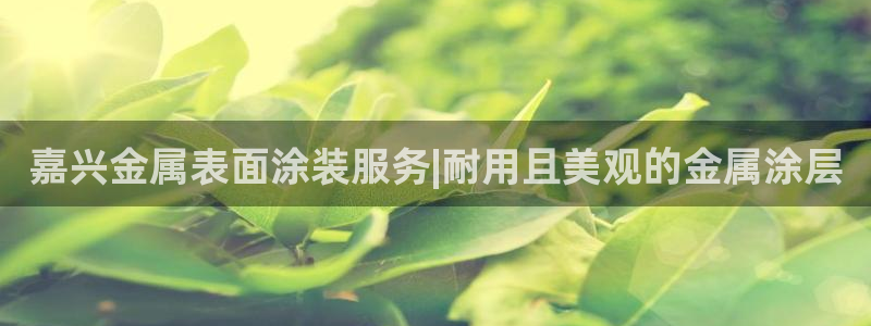 美高梅官方安卓版中文版