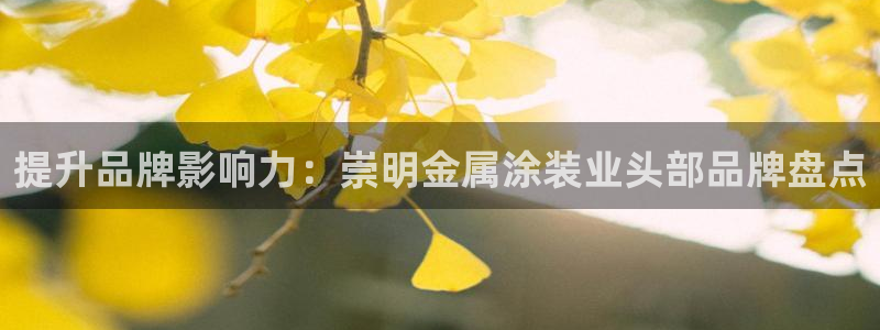 美高梅会员怎么绑定