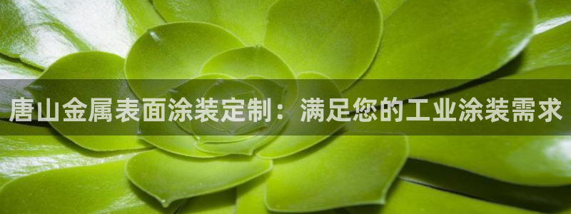 美高梅大酒店何超琼