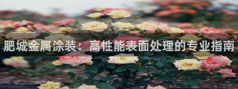 美高梅会员卡级别分类是什么