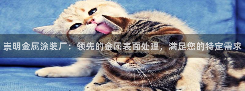 美高梅酒店房价