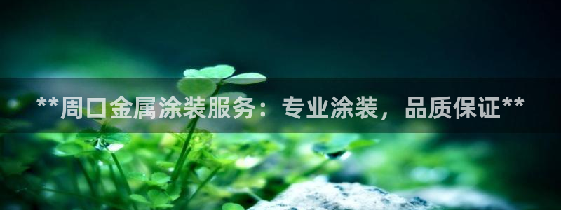 美高梅集团是哪个国家