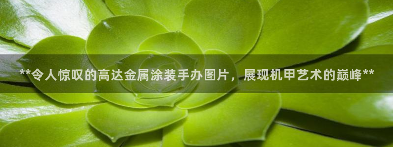 美高梅酒店小梅沙