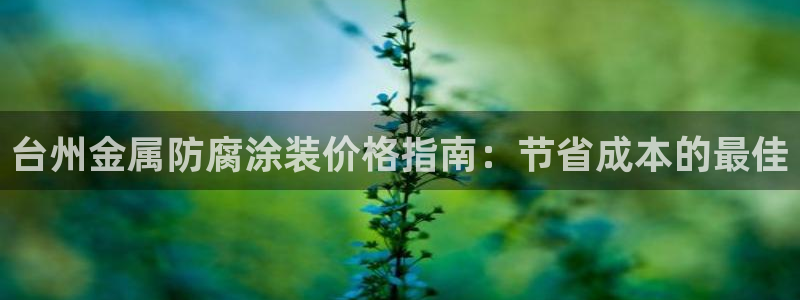 美高梅公司何超琼