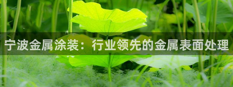 美高梅会员卡如何申请