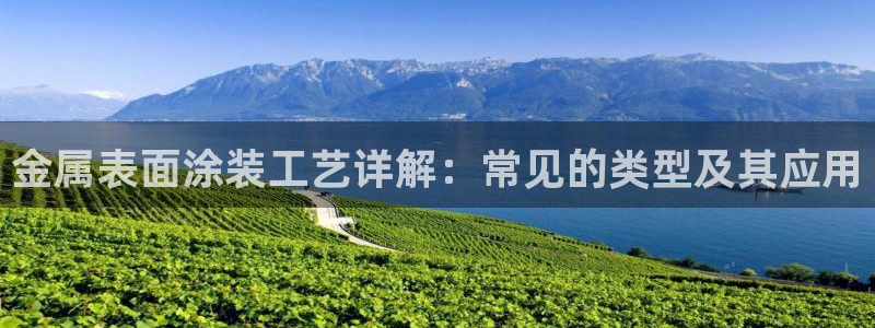 为什么我的美高梅网页上不了